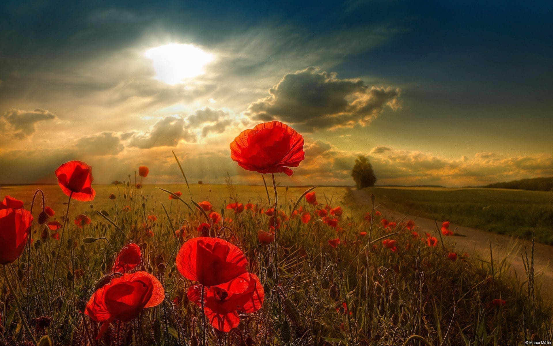 Family-Dental-Care-Anzac-image-for-website